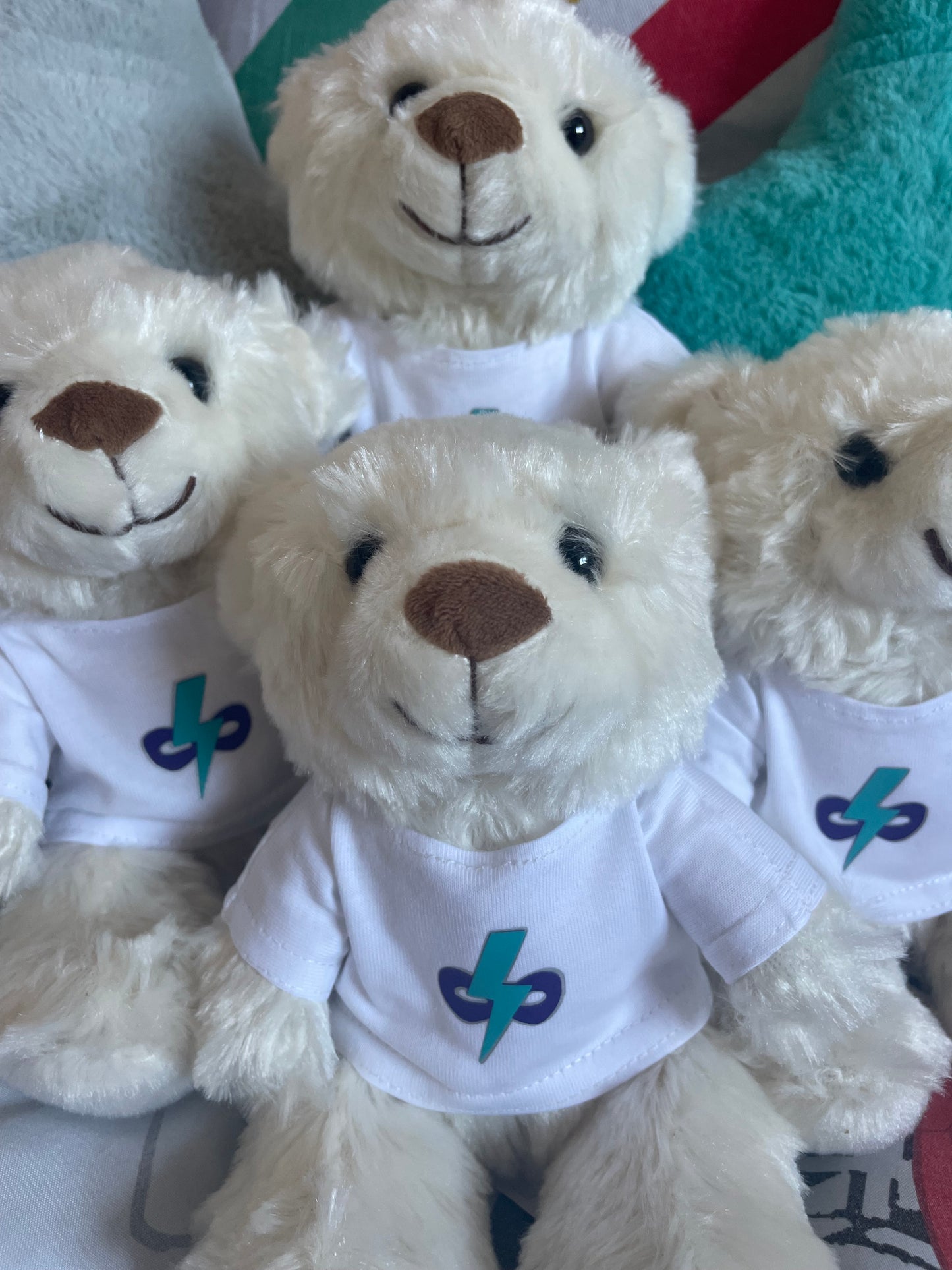 ‘Hudson’ the Magic Bear