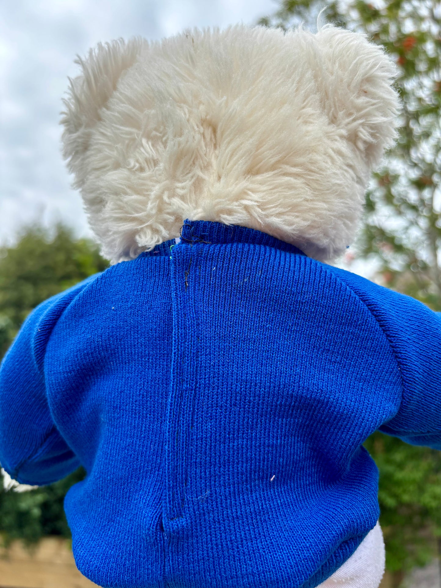 School memory jumper