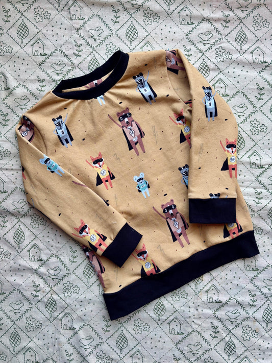 Sweatshirt: Superhero animals: Age 3